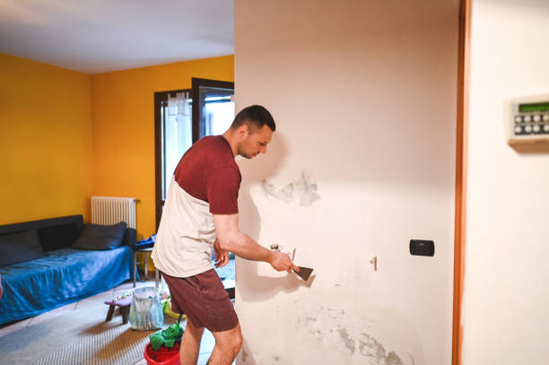 Best Mold Remediation  in Bear Creek, AL