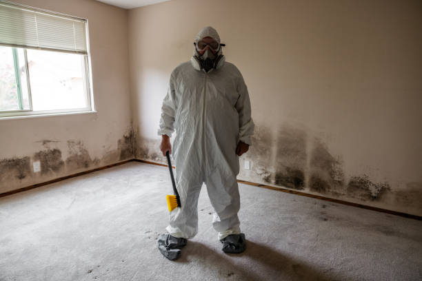 Best Certified Mold Removal  in Bear Creek, AL